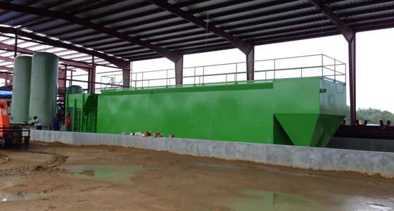 bio-clear-green