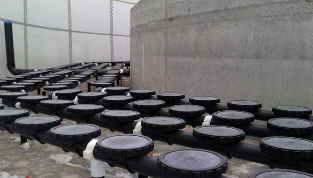 ibr-diffusers-615x350