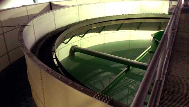 ibr-top-water-615x350