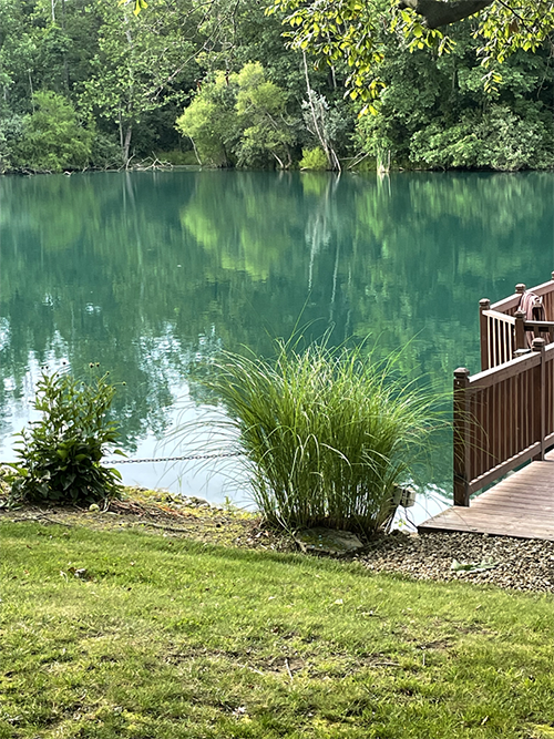 Pond cleaning using Ecologix’s high purity lanthanum chloride
